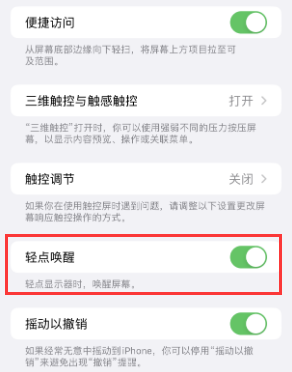 鄂城苹果授权维修站分享iPhone轻点无法唤醒怎么办 