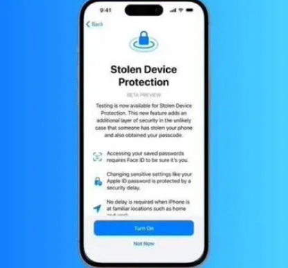 鄂城苹果授权维修店分享被盗设备保护功能开启方法 