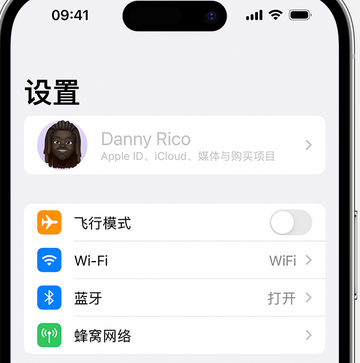 鄂城appleID维修服务iPhone设置中Apple ID显示为灰色无法使用