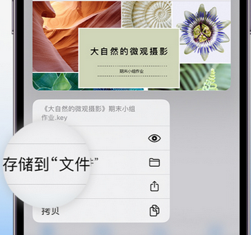 鄂城apple维修中心分享iPhone文件应用中存储和找到下载文件