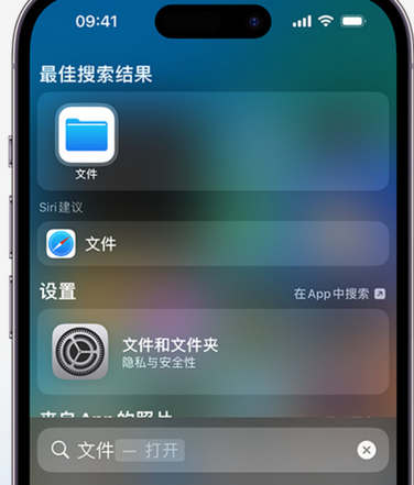 鄂城apple维修中心分享iPhone文件应用中存储和找到下载文件