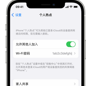 鄂城apple服务站点分享iPhone上个人热点丢失了怎么办 