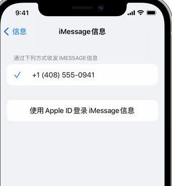 鄂城apple维修iPhone上无法正常发送iMessage信息 