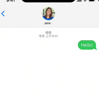 鄂城apple维修iPhone上无法正常发送iMessage信息