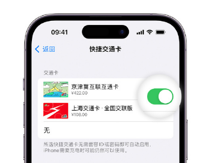 鄂城apple维修点分享iPhone上更换Apple Pay快捷交通卡手绘卡面 