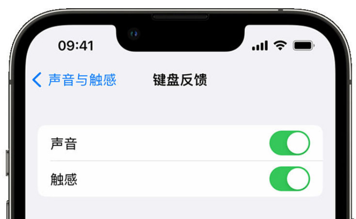 鄂城苹果手机维修分享iPhone 14触感键盘使用方法 