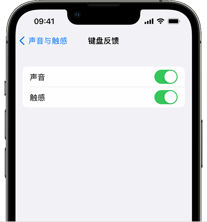 鄂城苹果14维修店分享如何在 iPhone 14 机型中使用触感键盘 