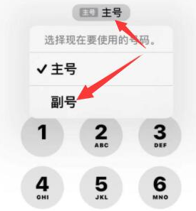 鄂城苹果14维修店分享iPhone 14 Pro Max使用副卡打电话的方法 