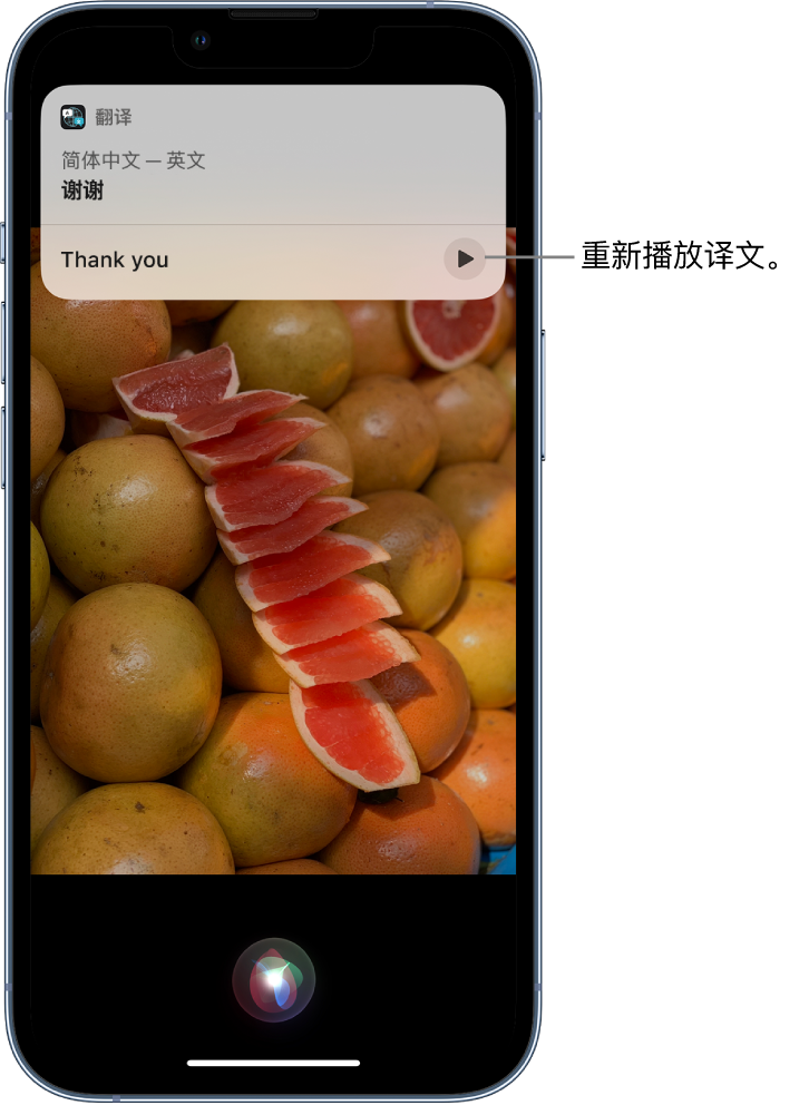 鄂城苹果14维修分享 iPhone 14 机型中使用 Siri：了解 Siri 能帮你做什么 