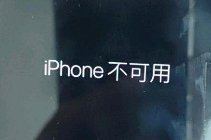 鄂城苹果服务网点分享锁屏界面显示“iPhone 不可用”如何解决 