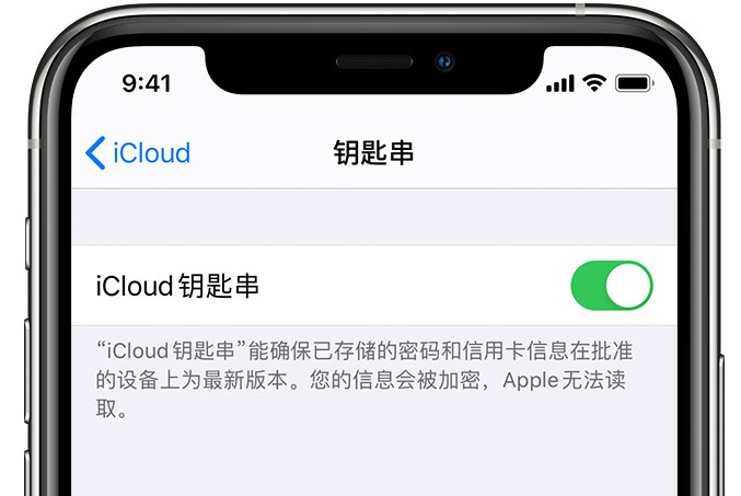 鄂城苹果手机维修分享在 iPhone 上开启 iCloud 钥匙串之后会储存哪些信息 